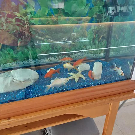 Restaurant Aequum Seafood House Hotel